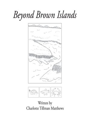 cover image of Beyond Brown Islands